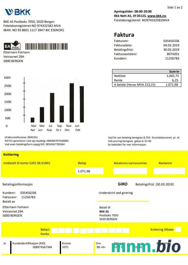 Szablon rachunku za energię elektryczną w Norwegii BKK w formacie Word i PDF, dobry na dowód adresu